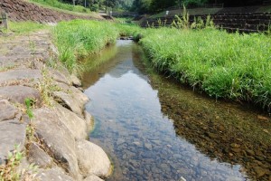 古川に水絶えず