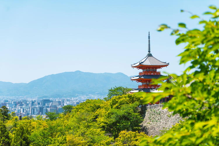 初夏・盛夏・晩夏・孟夏・仲夏・季夏・立夏