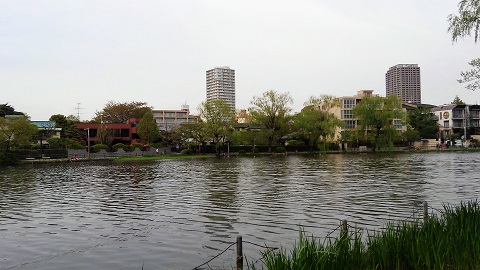 石神井公園