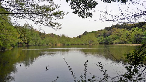 三宝寺池