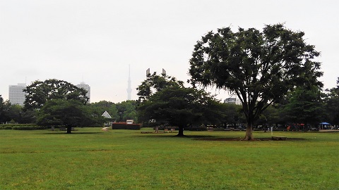 木場公園