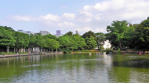 つくば中央公園