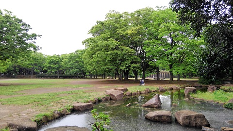 中央公園